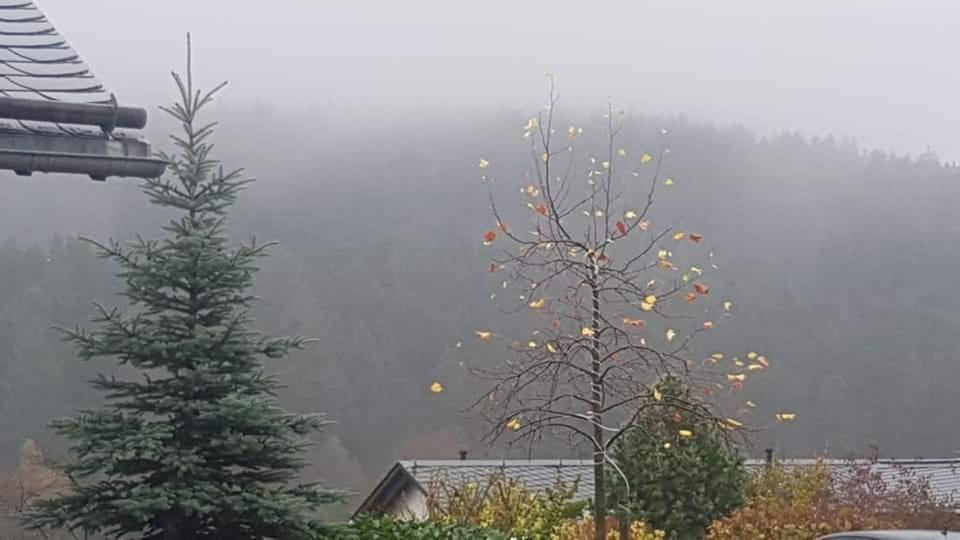 Vakantiewoning Evalisa * Willingen (Upland)