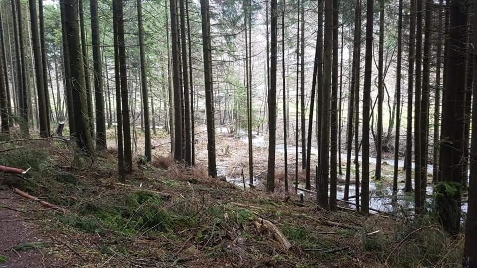 Vakantiewoning Evalisa * Willingen (Upland)