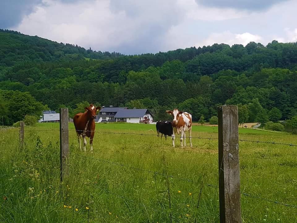 Apartment Vakantiewoning Evalisa Willingen (Upland)