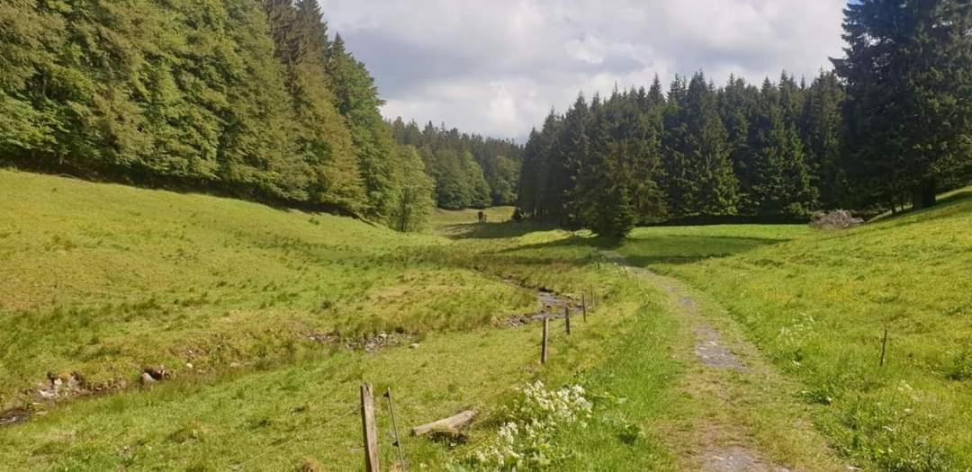 Vakantiewoning Evalisa *